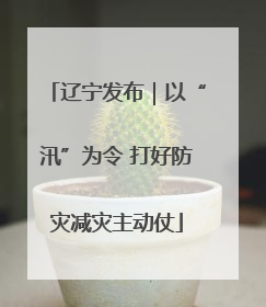 辽宁发布｜以“汛”为令 打好防灾减灾主动仗