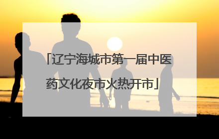 辽宁海城市第一届中医药文化夜市火热开市
