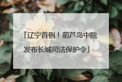 辽宁首例！葫芦岛中院发布长城司法保护令