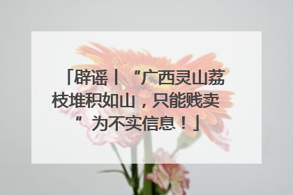 辟谣丨“广西灵山荔枝堆积如山，只能贱卖”为不实信息！