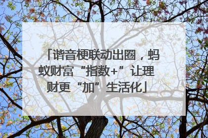 谐音梗联动出圈，蚂蚁财富“指数+”让理财更“加”生活化