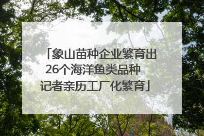 象山苗种企业繁育出26个海洋鱼类品种 记者亲历工厂化繁育