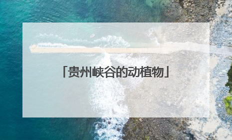 贵州峡谷的动植物