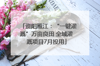 资阳雁江：“一键灌溉”万亩良田 全域灌溉项目7月投用