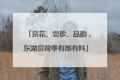 赏花、尝珍、品韵，东湖赏荷季有颜有料