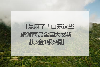 赢麻了！山东这些旅游商品全国大赛斩获3金1银5铜