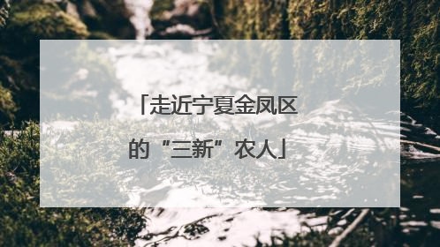 走近宁夏金凤区的“三新”农人