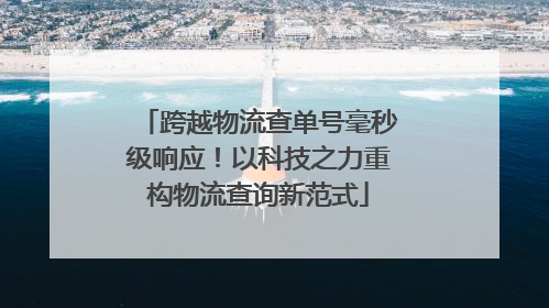 跨越物流查单号毫秒级响应！以科技之力重构物流查询新范式