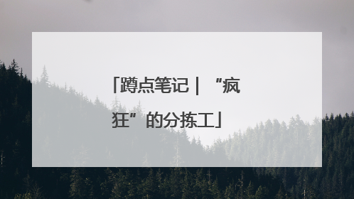 蹲点笔记｜“疯狂”的分拣工