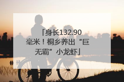 身长132.90毫米！桐乡养出“巨无霸”小龙虾