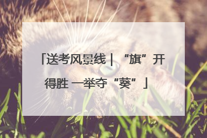 送考风景线｜“旗”开得胜 一举夺“葵”