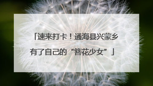 速来打卡！通海县兴蒙乡有了自己的“簪花少女”