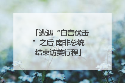 遭遇“白宫伏击”之后 南非总统结束访美行程