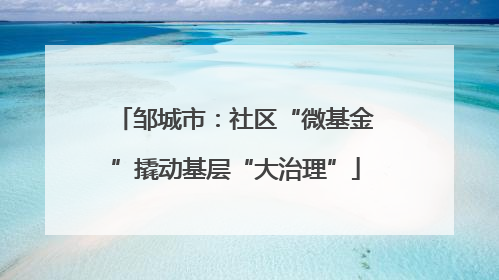 邹城市：社区“微基金”撬动基层“大治理”