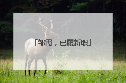 邹霞，已履新职