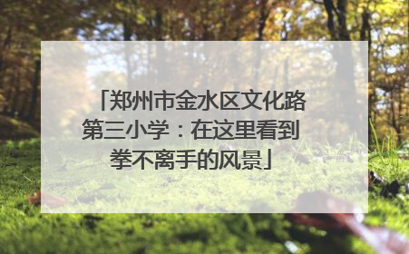 郑州市金水区文化路第三小学：在这里看到拳不离手的风景