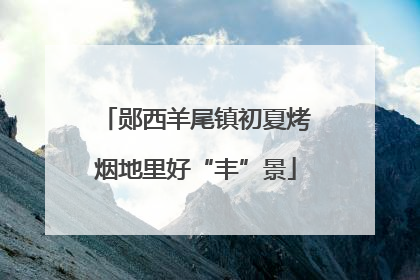 郧西羊尾镇初夏烤烟地里好“丰”景