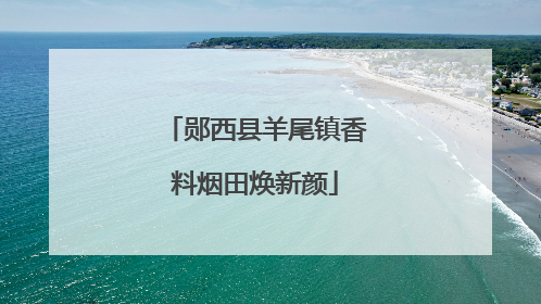 郧西县羊尾镇香料烟田焕新颜