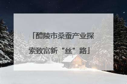 醴陵市桑蚕产业探索致富新“丝”路