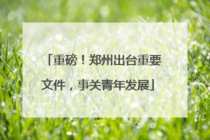 重磅！郑州出台重要文件，事关青年发展