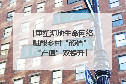 重塑湿地生命网络 赋能乡村“颜值”“产值”双提升