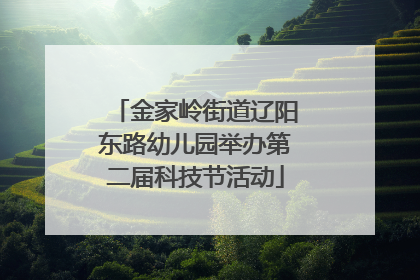 金家岭街道辽阳东路幼儿园举办第二届科技节活动