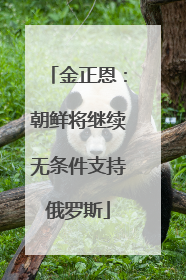 金正恩：朝鲜将继续无条件支持俄罗斯