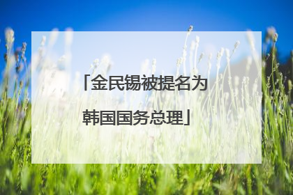 金民锡被提名为韩国国务总理