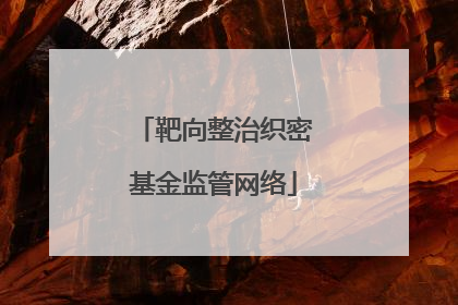 靶向整治织密基金监管网络