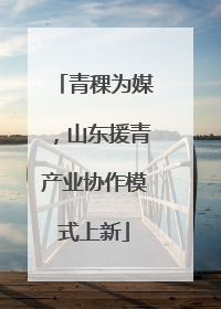 青稞为媒，山东援青产业协作模式上新
