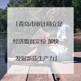 青岛市审计局立足经济监督定位 加快发展新质生产力