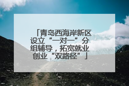 青岛西海岸新区设立“一对一”分组辅导，拓宽就业创业“双路径”