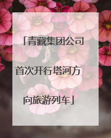 青藏集团公司首次开行塔河方向旅游列车