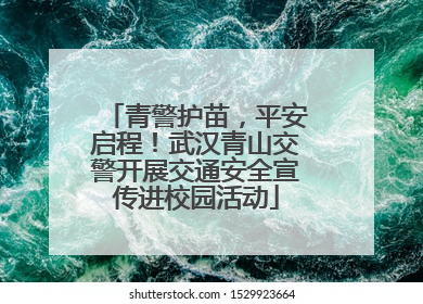 青警护苗，平安启程！武汉青山交警开展交通安全宣传进校园活动