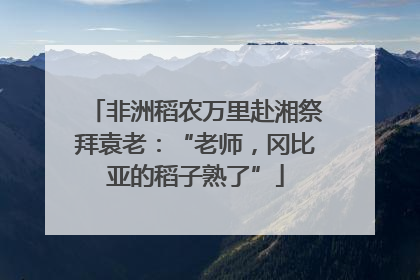 非洲稻农万里赴湘祭拜袁老：“老师，冈比亚的稻子熟了”