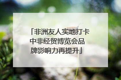 非洲友人实地打卡 中非经贸博览会品牌影响力再提升