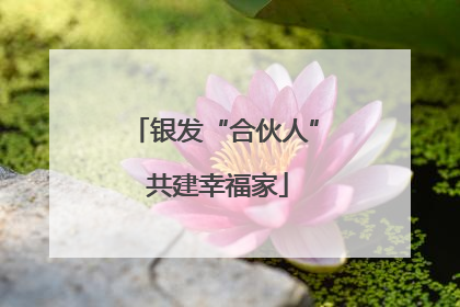 银发“合伙人” 共建幸福家