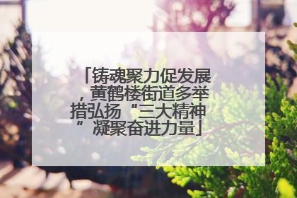 铸魂聚力促发展，黄鹤楼街道多举措弘扬“三大精神”凝聚奋进力量