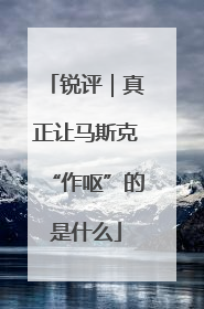 锐评｜真正让马斯克“作呕”的是什么
