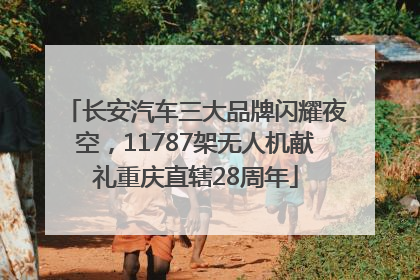 长安汽车三大品牌闪耀夜空，11787架无人机献礼重庆直辖28周年