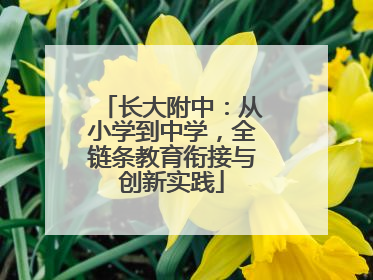 长大附中：从小学到中学，全链条教育衔接与创新实践