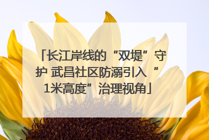 长江岸线的“双堤”守护 武昌社区防溺引入“1米高度”治理视角