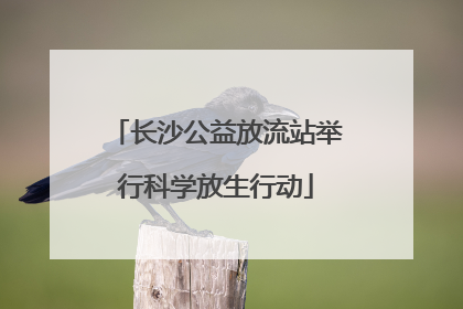 长沙公益放流站举行科学放生行动