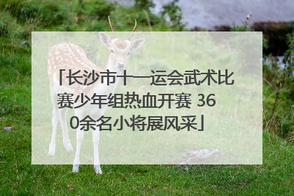 长沙市十一运会武术比赛少年组热血开赛 360余名小将展风采