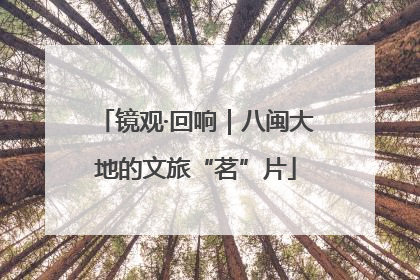 镜观·回响｜八闽大地的文旅“茗”片