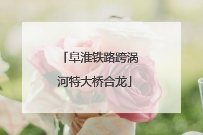 阜淮铁路跨涡河特大桥合龙
