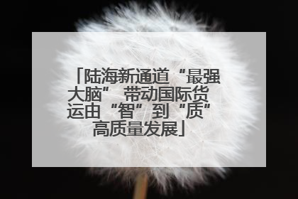 陆海新通道“最强大脑” 带动国际货运由“智”到“质”高质量发展