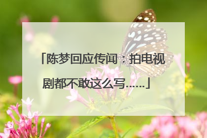 陈梦回应传闻：拍电视剧都不敢这么写……