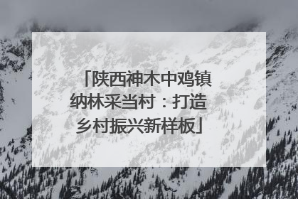 陕西神木中鸡镇纳林采当村：打造乡村振兴新样板