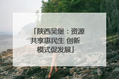 陕西吴堡：资源共享惠民生 创新模式促发展